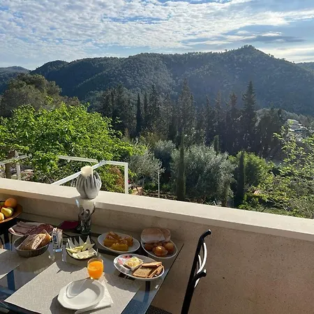 Bed & Breakfast Olivella Bed&Breakfast Olivella