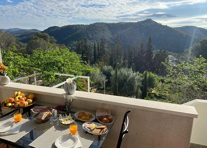 לינה וארוחת בוקר Olivella Bed&Breakfast Olivella
