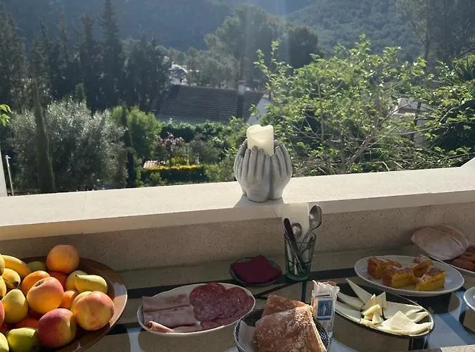 Bed & Breakfast Olivella Bed&Breakfast Olivella